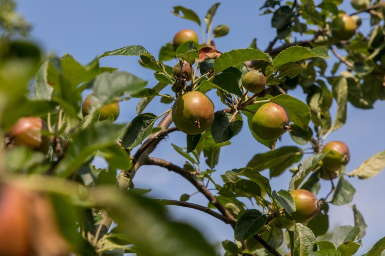 De Notenboom Gasthuis Meliskerke